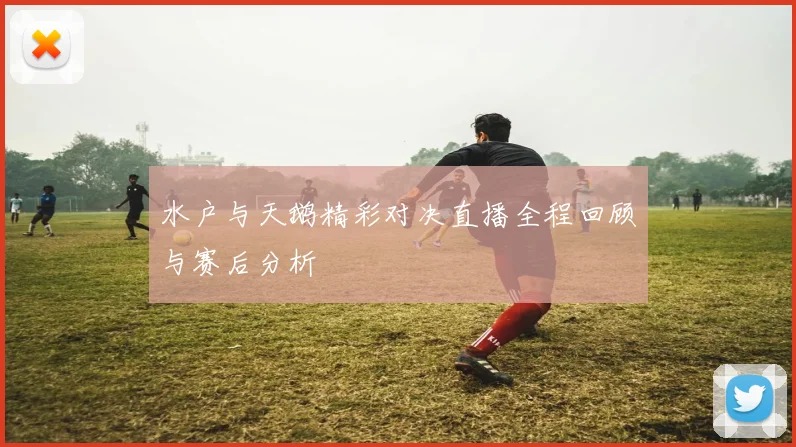 水户与天鹅精彩对决直播全程回顾与赛后分析