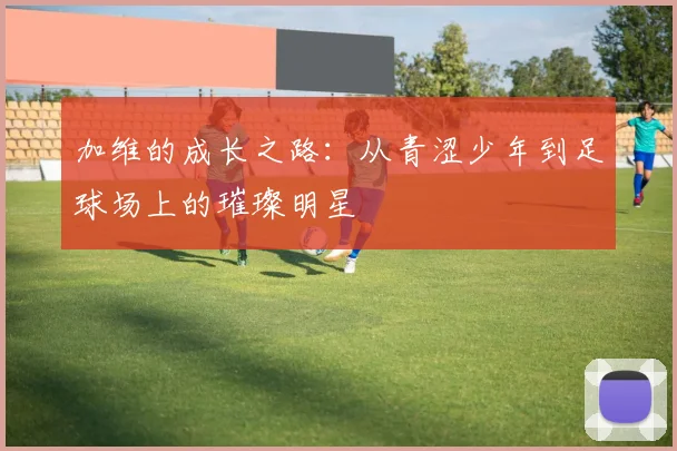 加维的成长之路：从青涩少年到足球场上的璀璨明星