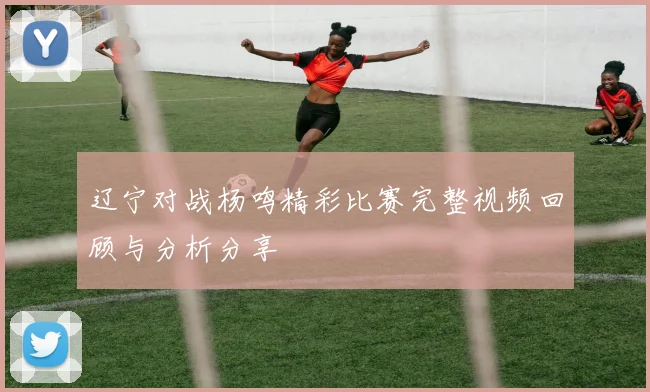 辽宁对战杨鸣精彩比赛完整视频回顾与分析分享