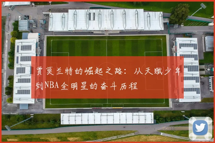 贾莫兰特的崛起之路：从天赋少年到NBA全明星的奋斗历程