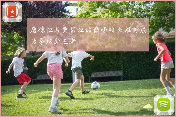 唐德拉与费雷拉的巅峰对决谁将成为拳坛新王者